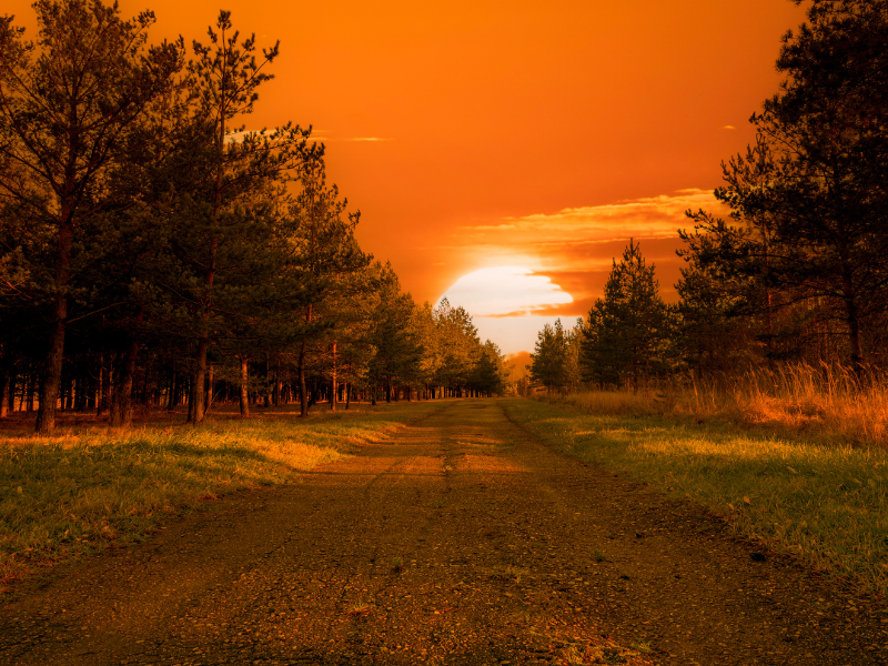 sunset